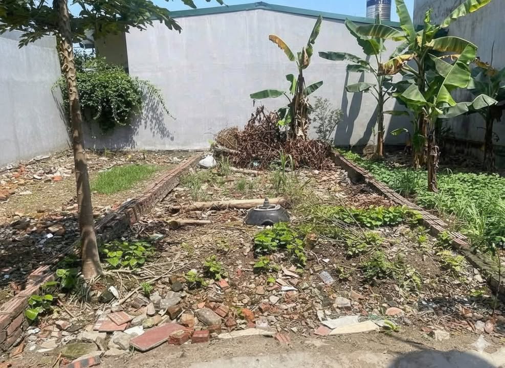 Nhà riêng Mai Đình Sóc Sơn 42m² - Giá tốt hiếm có!