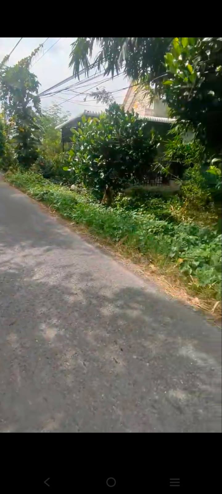 Đất Vườn 1000m² Cao Lãnh - Mặt Tiền Sông Lớn, Giá Đầu Tư 192 Triệu