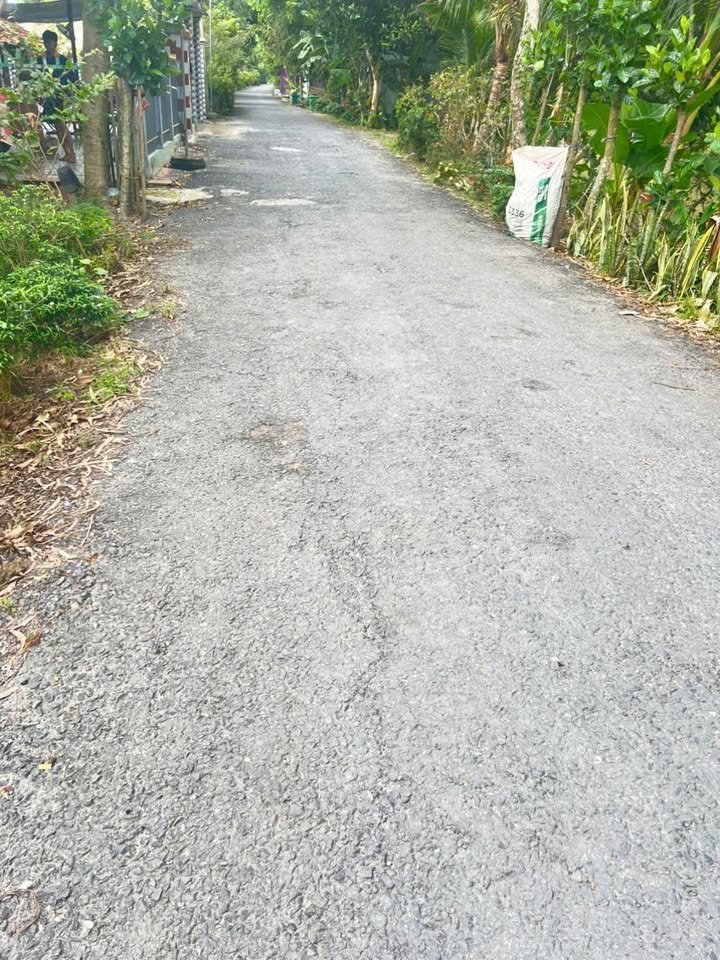 Đất vườn Cao Lãnh 5900m² giá 2.8 tỷ - Sổ đỏ chính chủ