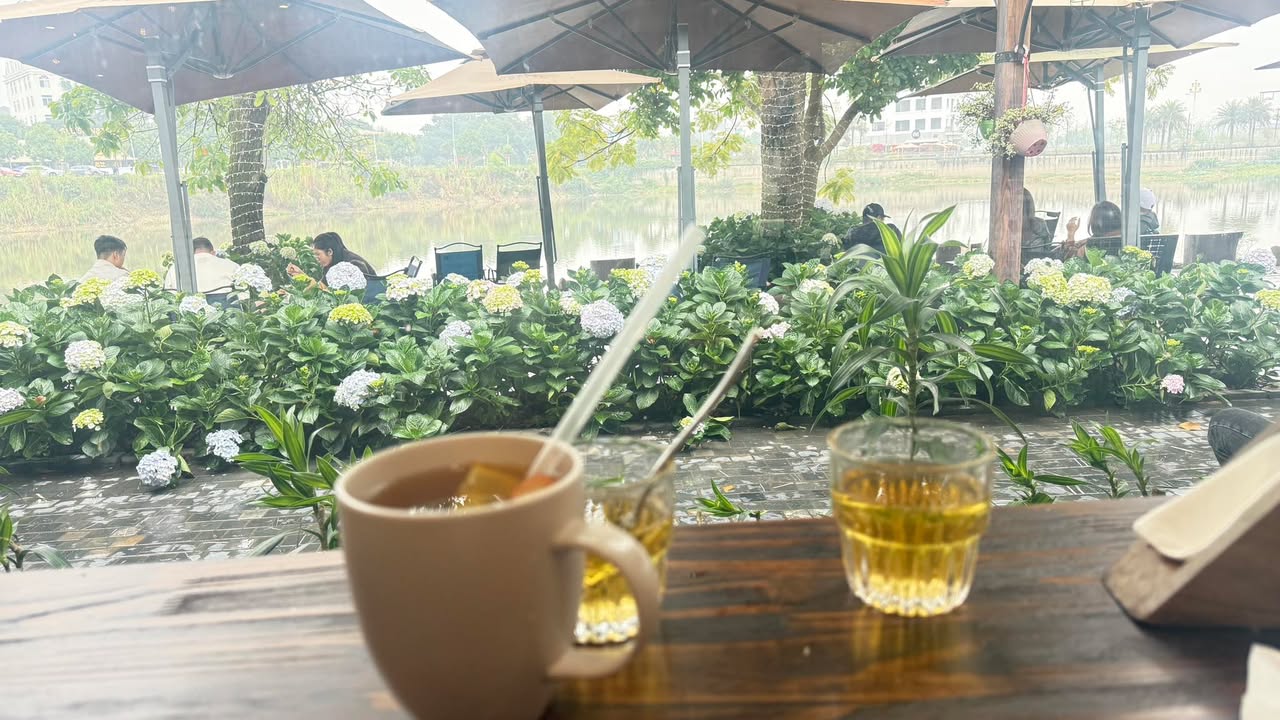 Đất nền Lạc Long Quân, Vĩnh Yên 100m² giá 4.6 tỷ - Sổ đỏ chính chủ