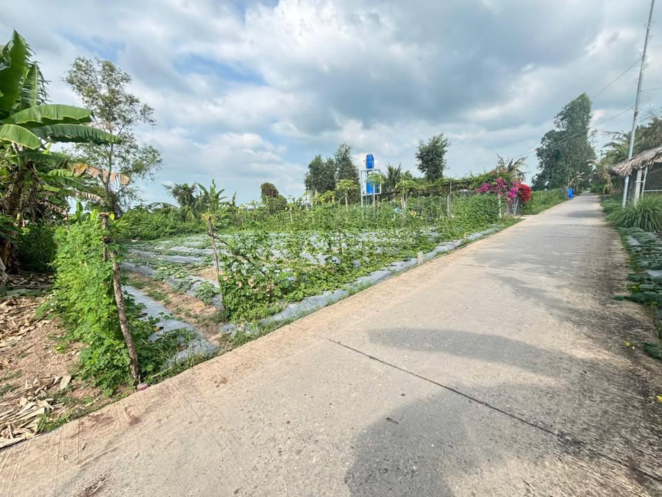 Đất nền Thạnh Lộc, Châu Thành 125m² giá 325 triệu - Sổ đỏ chính chủ!