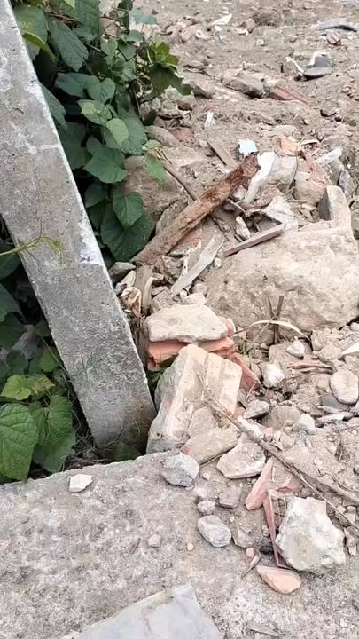 Đất nền Lang Châu Bắc Duy Xuyên 83m² - Tiềm năng tăng giá vượt trội!