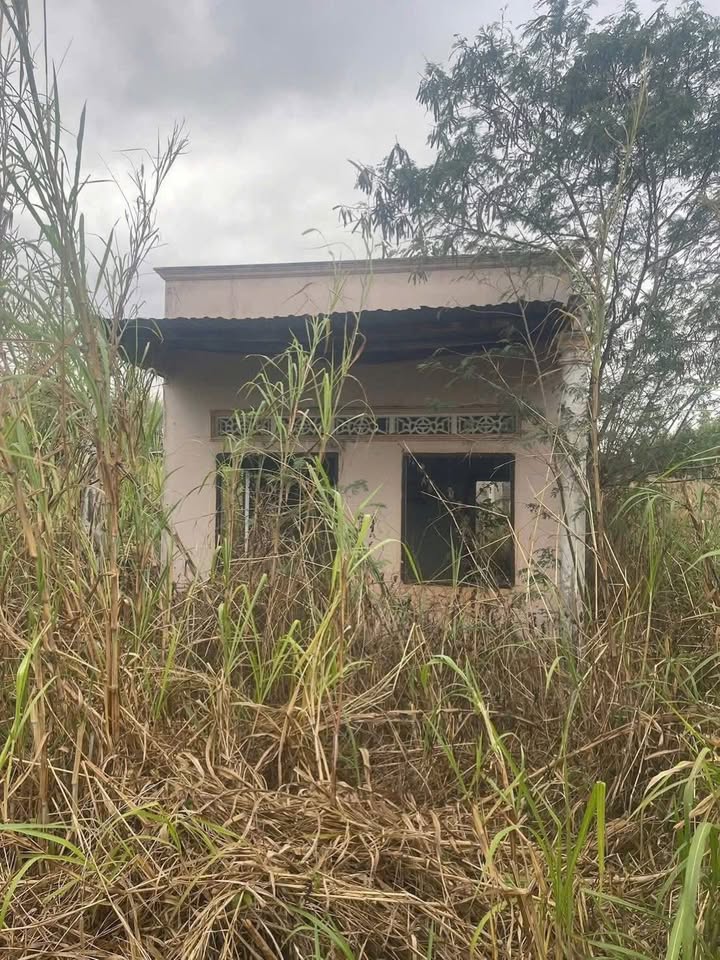 Đất nền Ea H'leo 720m² - Thổ cư 100%, Giá F0 chỉ 380 triệu!