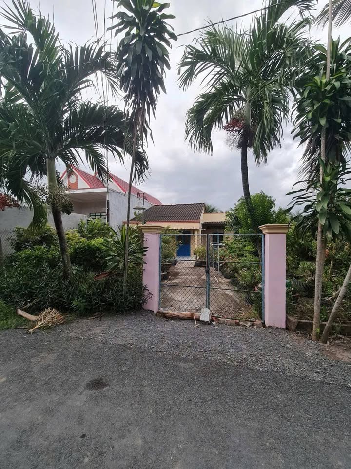 Bán Gấp Nhà Mặt Tiền Nhựa 183m² Xã Tân Hương, Tiền Giang - Giá 760 Triệu