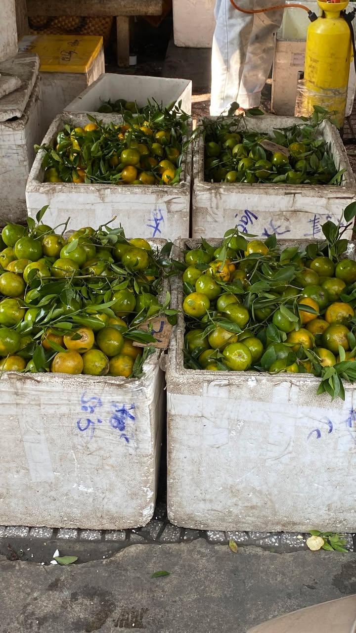 Đất Nền Mỹ Tho 100m² Giá Từ 400 Triệu - Sổ Đỏ Chính Chủ