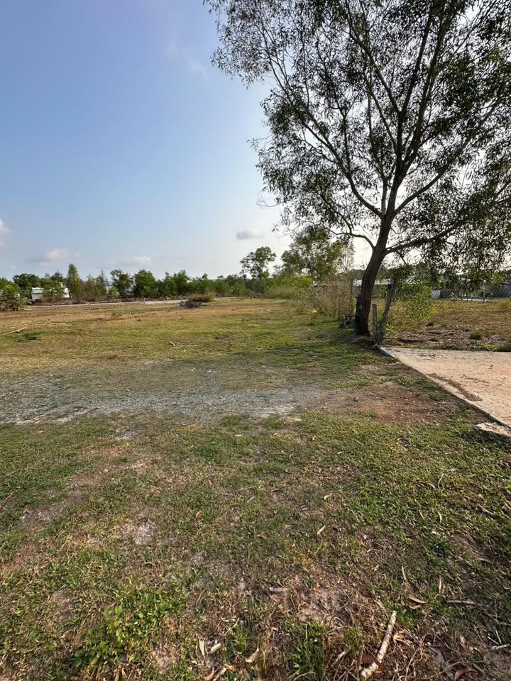 Đất Nền 600m² Ấp Cây Thông Trong, Phú Quốc - Sổ Đỏ Sẵn Sàng