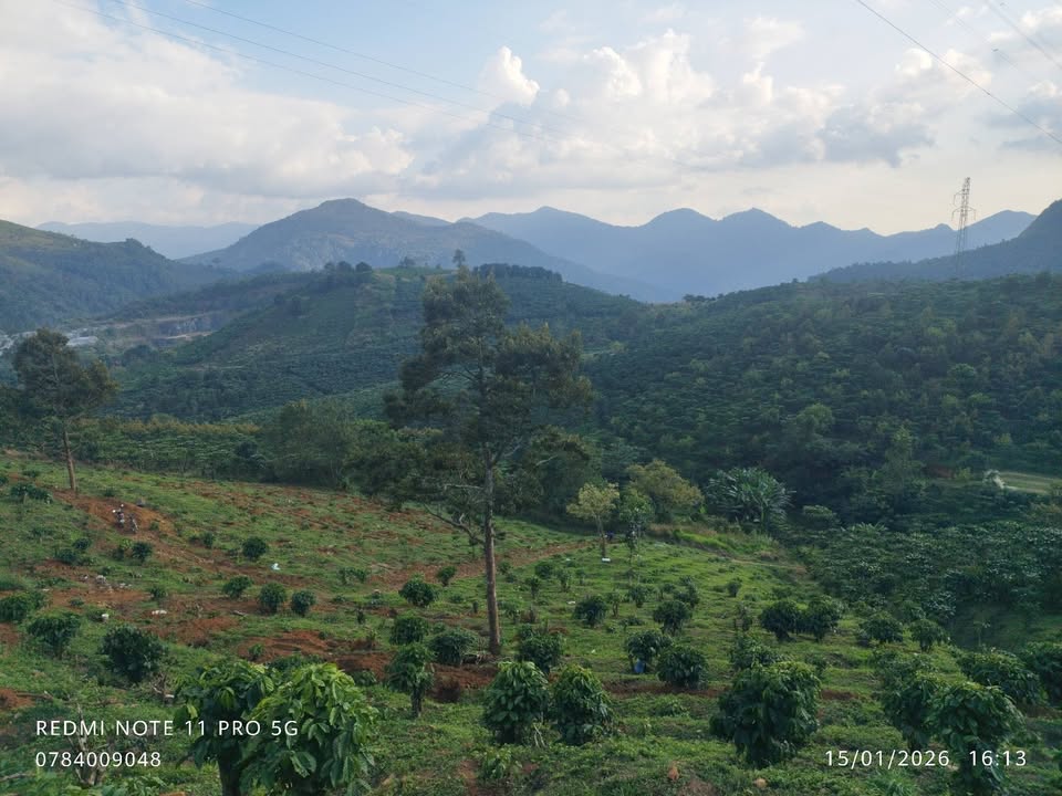 Đất vườn Đại Lào, Bảo Lộc 9795m² - Sinh thái xanh, Sổ hồng sẵn sàng!