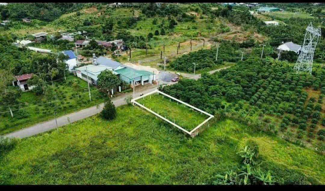 Bán Gấp Đất Mặt Tiền Xuân Diệu, Bảo Lộc - 230m² Thổ Cư, Giá 1.75 Tỷ