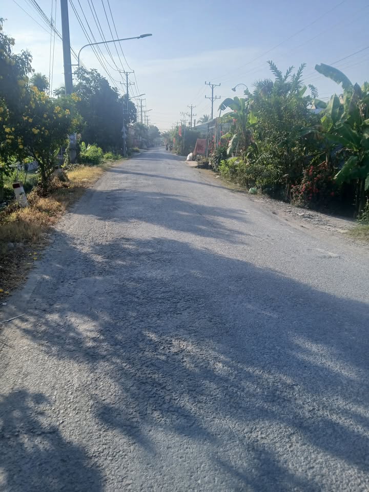 Đất nền mặt tiền TL 863 Cái Bè 239m² - Sổ hồng chính chủ