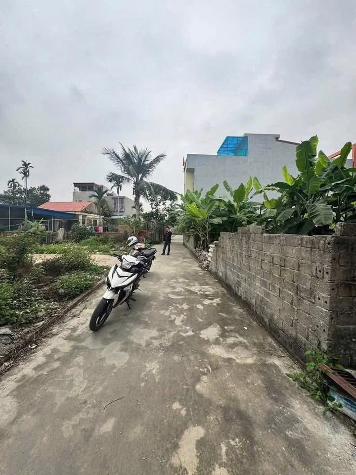 Bán Đất Dương Kinh 52.9m² - Sổ Đỏ Chính Chủ, Ngõ Rộng Ô Tô