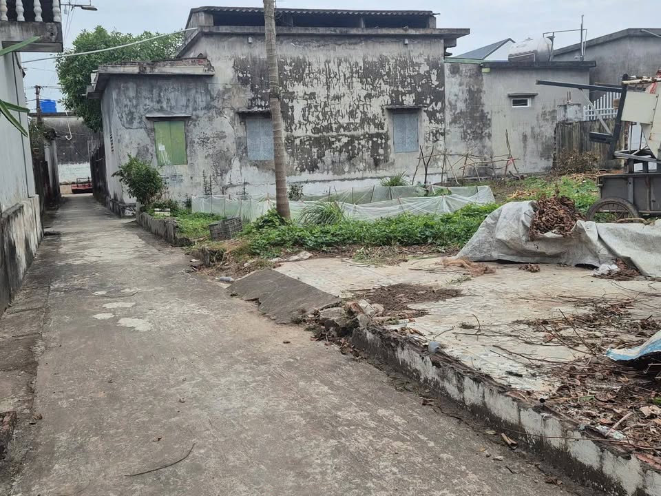 Đất nền Súy Lãng, Vũ Thư 60m² - Sổ đỏ chính chủ, giá đầu tư tốt!