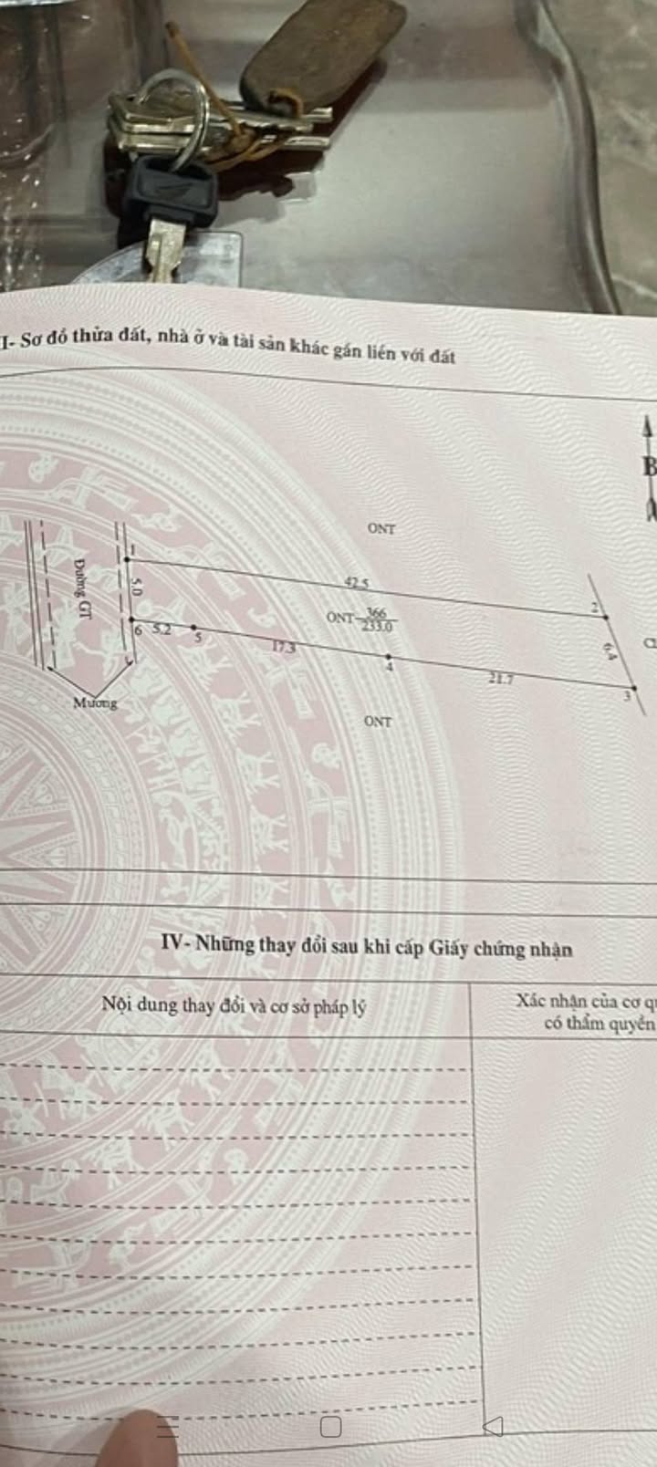 Đất nền 233m² Đồng Trung Thanh Thủy, Thanh Trì - Kinh doanh đỉnh, giá nhỉnh 2 tỷ