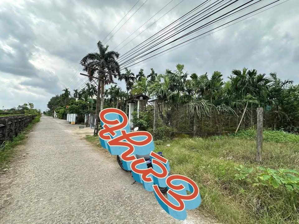 Đất nền TP Quảng Ngãi 352m² - Sổ đỏ chính chủ, đường ô tô!