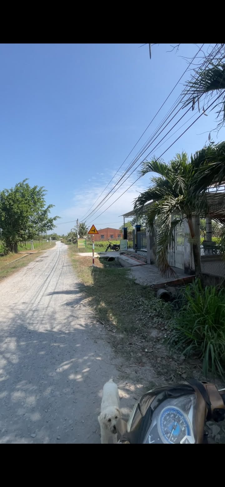 Đất Gò Dầu Tây Ninh 650m² giá 380 triệu - Tiềm năng tăng giá!