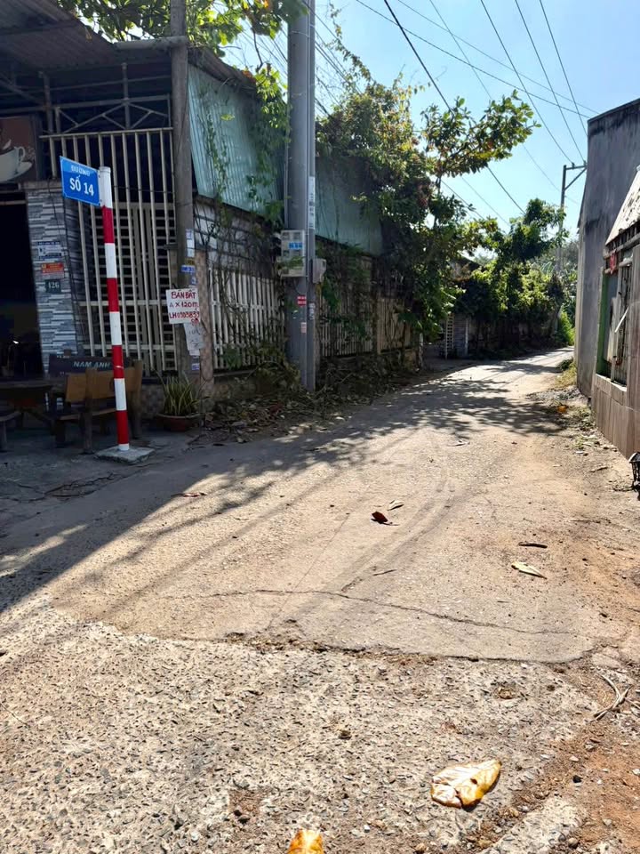 Đất nền TP. Tây Ninh 155m² chỉ 299 triệu - Đất thổ cư 100% cực hiếm!