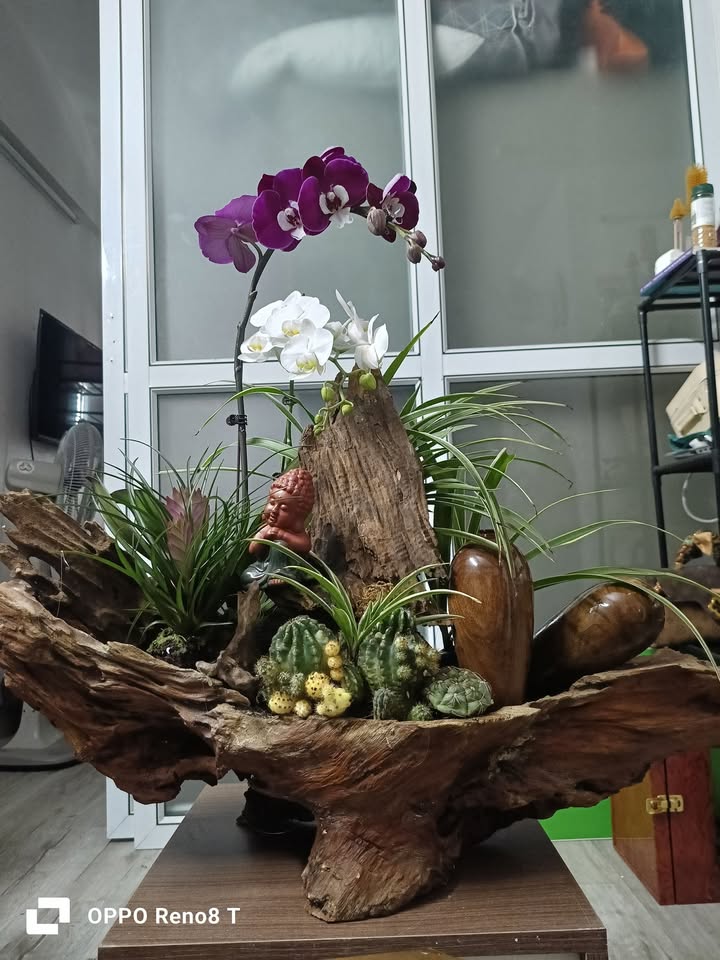 Đất nền Xã Đông Thanh TP Thanh Hóa 400m² - Sổ đỏ chính chủ