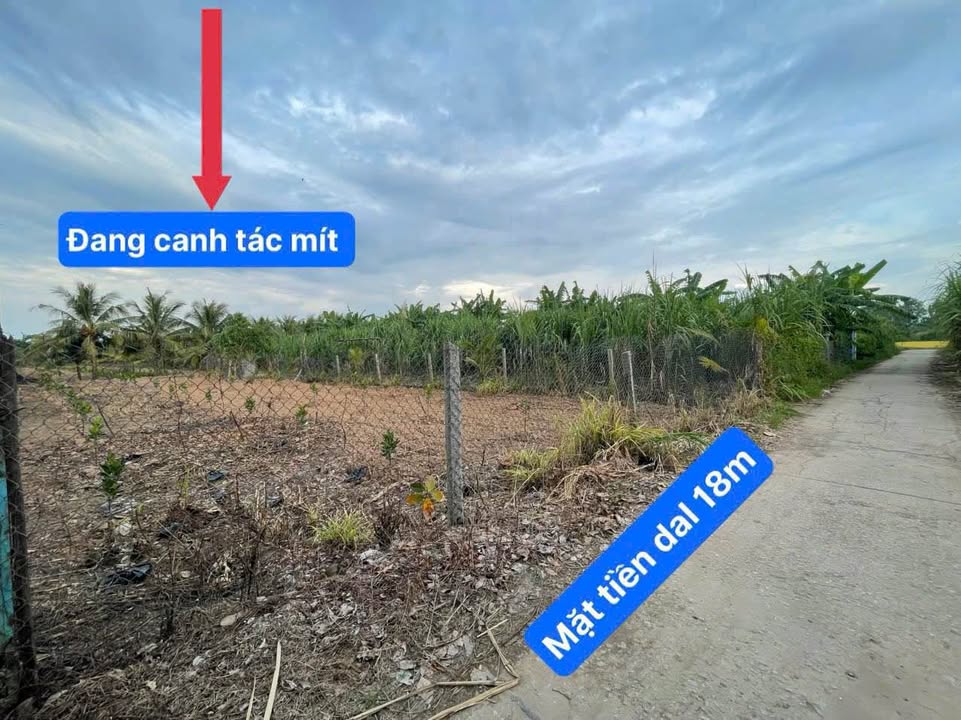 Bán Đất Vườn Vĩnh Hậu An Phú 5400m² - Đầu Tư Dài Hạn Giá Cực Tốt