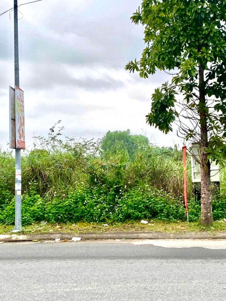 Đất nền Nguyễn Công Phương 100m² - Sổ đỏ chính chủ, tiềm năng sinh lời