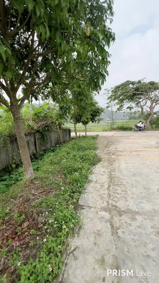 Đất nền Xuân Vân Yên Sơn 230m² - Lô góc 2 mặt tiền, đường ô tô tránh!