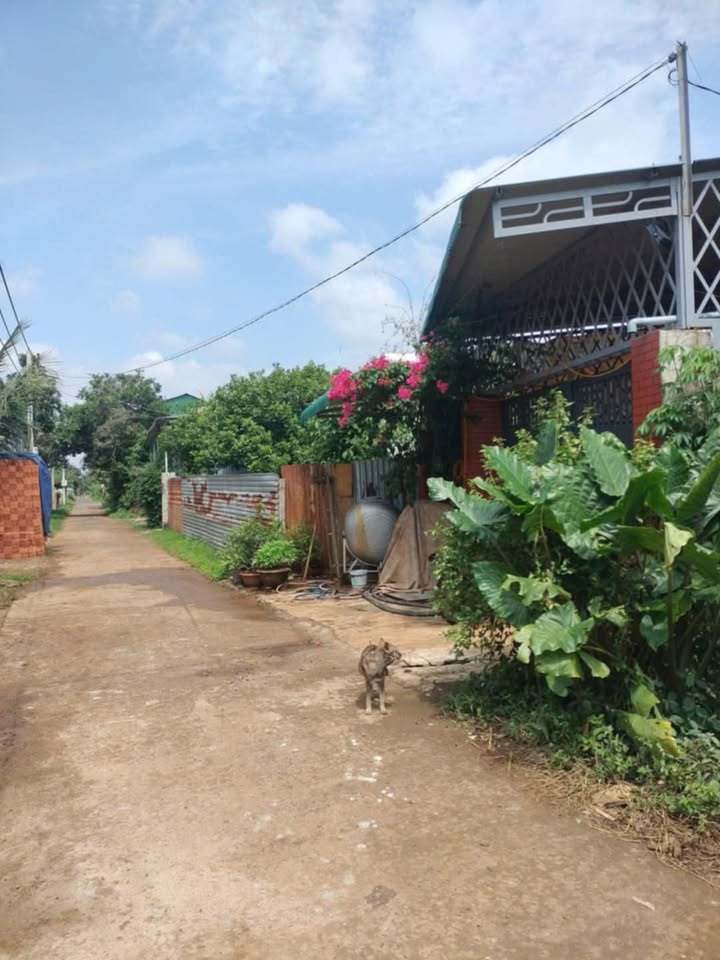 Lô đất Ea Kao Buôn Ma Thuột 135m² chỉ 890 triệu - Tiềm năng tăng giá!