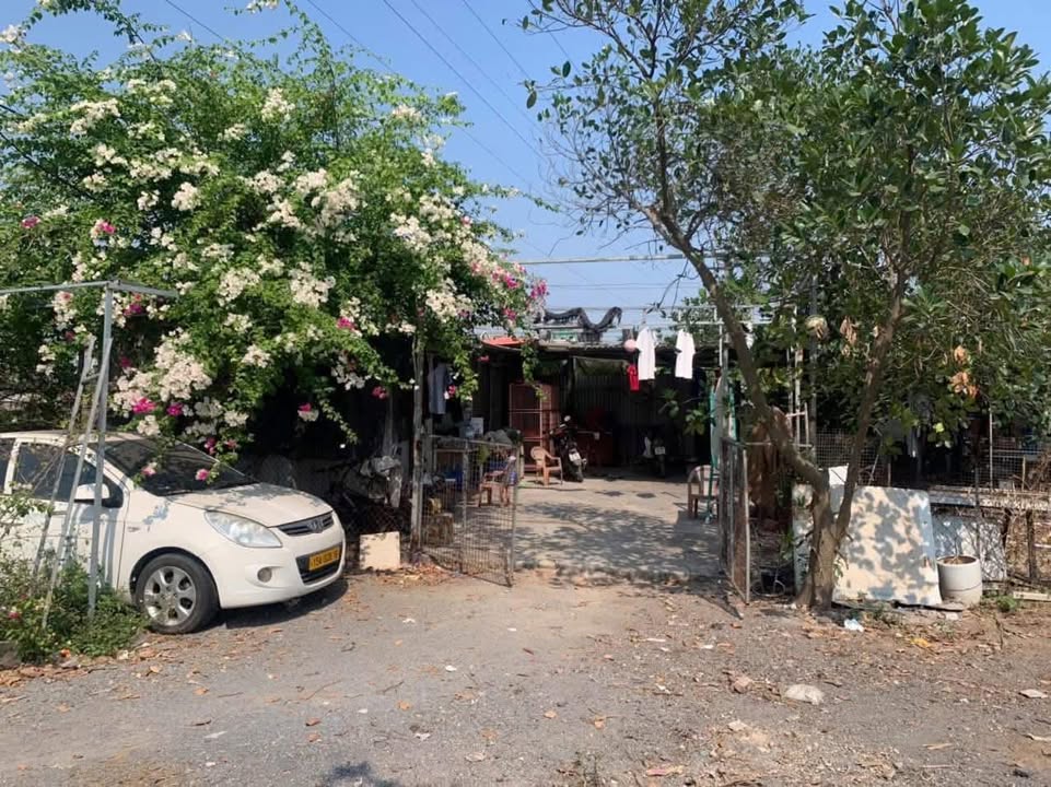 Thuê đất vườn Yên Nghĩa 5000m² - Vị trí đắc địa kinh doanh!