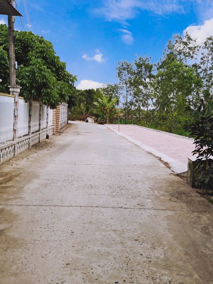 Nhà Thổ Cư Ô Môn 64m² - Xe Hơi Tới Nơi, Sổ Hồng Sẵn Sàng