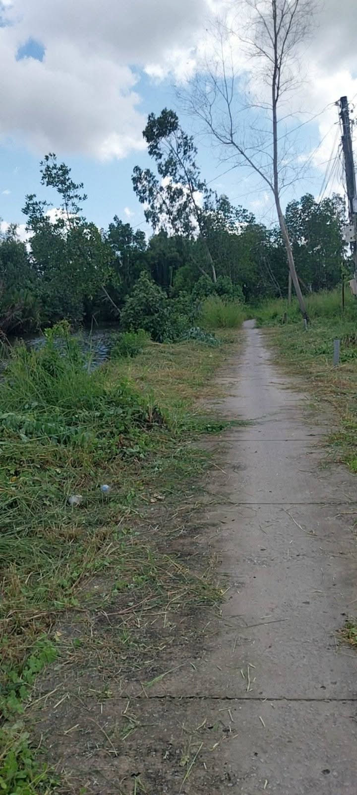 Đất nền Cái Nước Cà Mau 214m² giá 230 triệu - Sổ hồng sẵn!