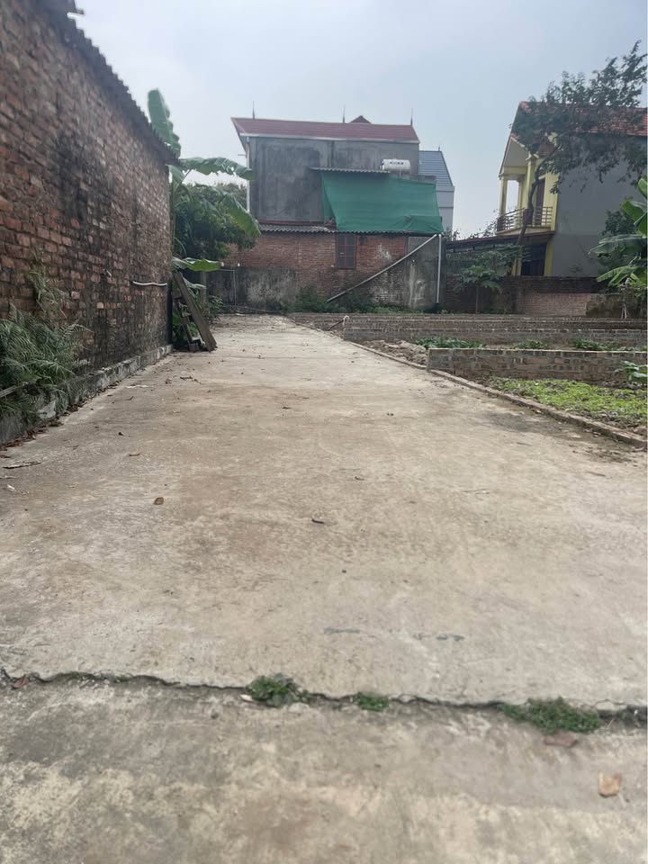 Đất nền Song Liễu, Bắc Ninh 46m² - Đầu tư nhỏ tiền, thanh khoản nhanh