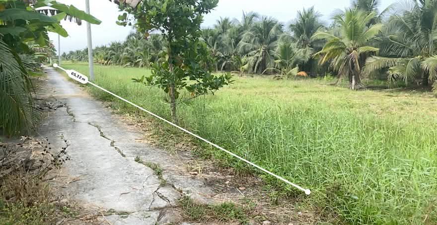 Đất vườn Châu Thành Bến Tre 1200m² giá 1 tỷ - Nghỉ dưỡng lý tưởng!