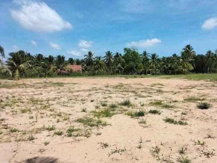 Đất Mặt Tiền QL883 Bến Tre - 2500m² Thổ Cư, Kinh Doanh Đa Ngành