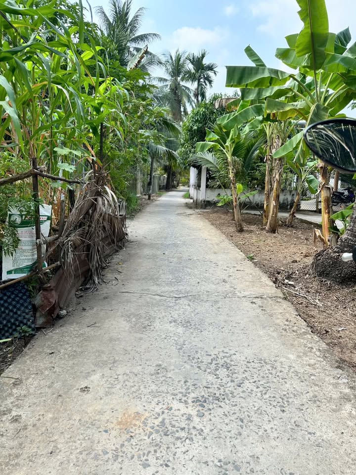 Đất vườn Tam Phước 648m² - Giá 900 triệu, giá tốt hiếm có!