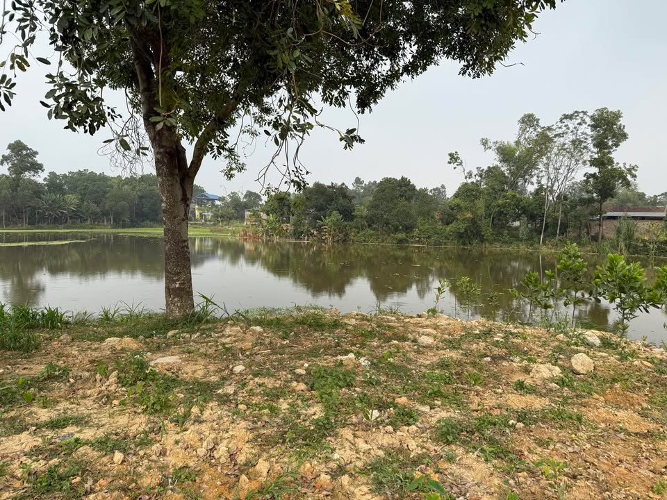 Đất nền 1700m² bám hồ Phổ Yên, Thái Nguyên - Sổ đỏ chính chủ