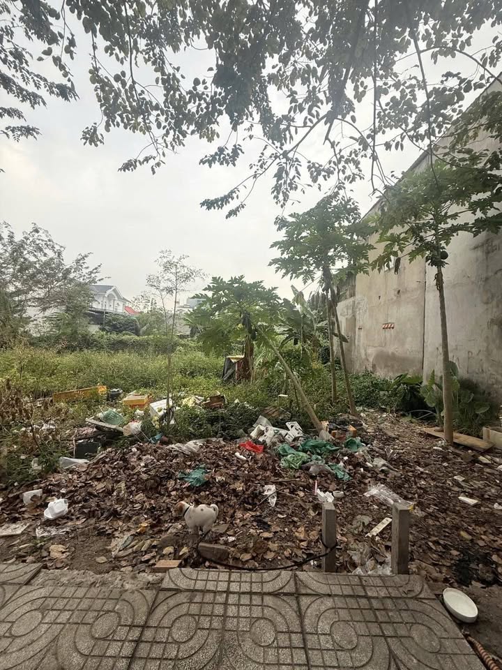 Đất thổ cư Thới An 16 Q12 72m² - Sổ hồng, xây dựng tự do!