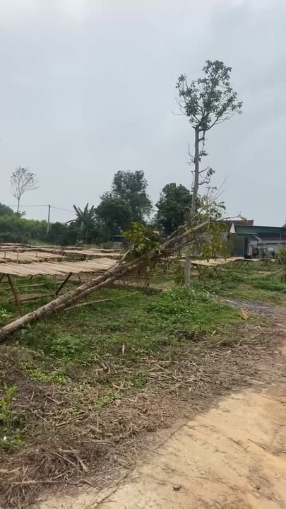 Đất thổ cư Nghĩa Hội, Nghĩa Đàn 175m² - Sổ đỏ sẵn sàng, giá đầu tư