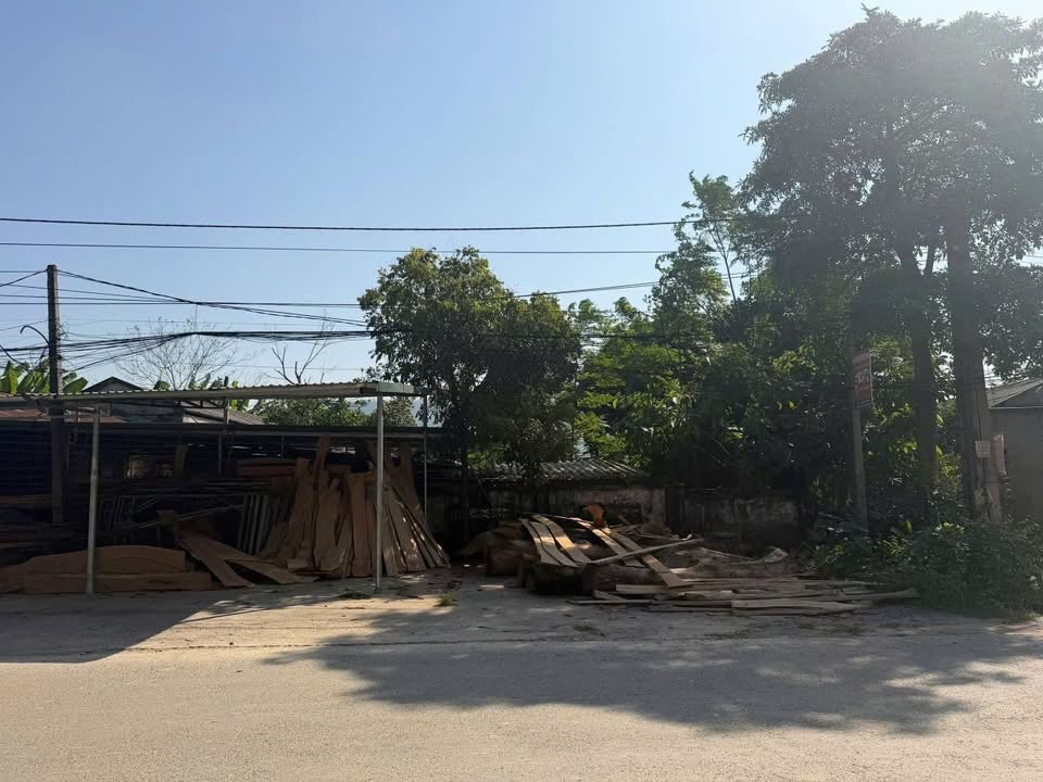 Đất nền Cẩm Khê 97m² - Mặt QL 313C, Kinh doanh đắc lợi