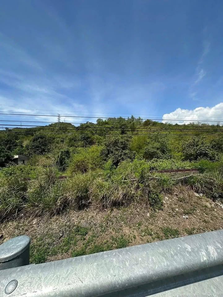 Đất nền Thôn Tân Đảo Ninh Hòa 5028m² - Tiềm năng tăng giá vượt trội!