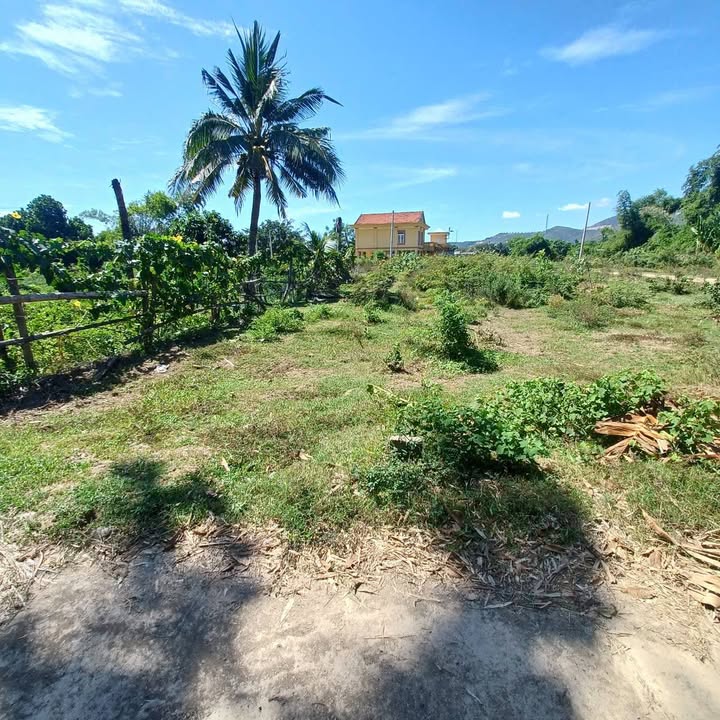 Bán Đất Nền Diên Phú 84.5m² - Sổ Đỏ Full Thổ Cư, Hướng Tây Bắc