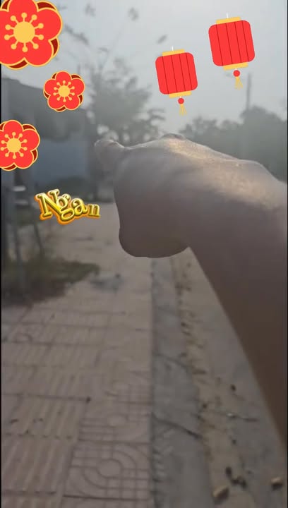 Bán Đất Phường Phước Hội, La Gi 98m² Sổ Riêng - Giá 700 Triệu