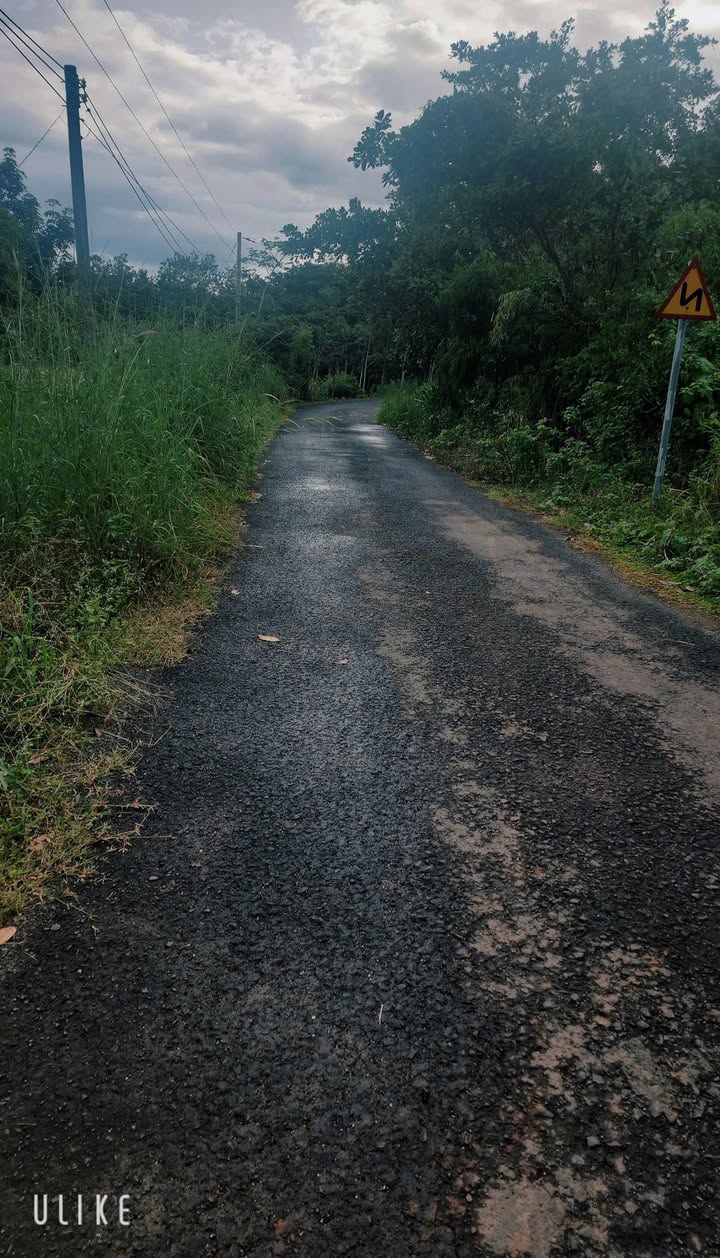 Bán đất Bến Cát Bình Dương 6700m² giá 1.1 tỷ - Tiềm năng tăng giá!