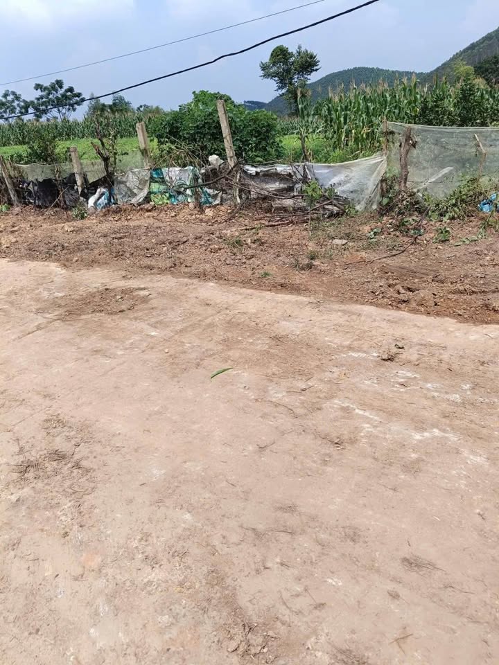 Đất nền Lục Sơn, Lục Nam 700m² giá từ 500 triệu - Tiềm năng tăng giá!