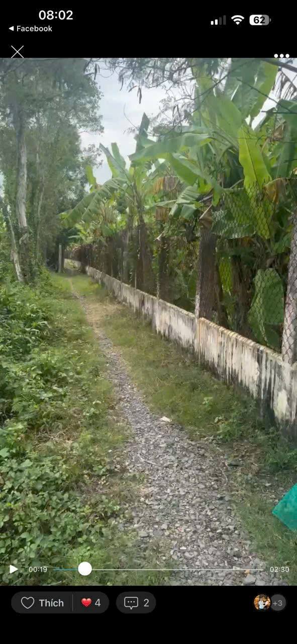 Đất nền Phước Lâm Cần Giuộc 1000m² - Giá đầu tư tốt!