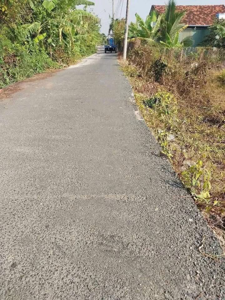 Bán Đất Mặt Tiền Lộ Nhựa Xã An Lục Long, Long An - 125m² - 400 Triệu