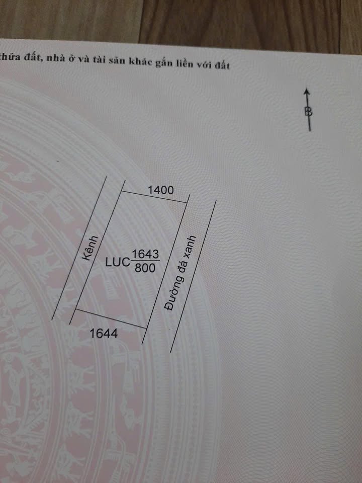 Bán Đất Lúa Đức Huệ 800m² - Sổ Đỏ, Mặt Tiền Đường 690 Triệu