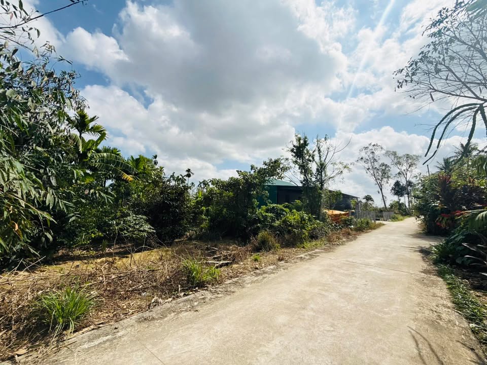 Đất Nền Hương Xuân Huế - 150m² Mặt Tiền Đường 12m - Giá 5 Tỷ Rẻ Bất Ngờ