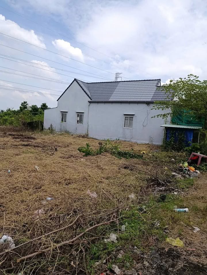 Đất nền Xã Mỹ Lộc, Cần Giuộc 1114m² – Sổ hồng chính chủ