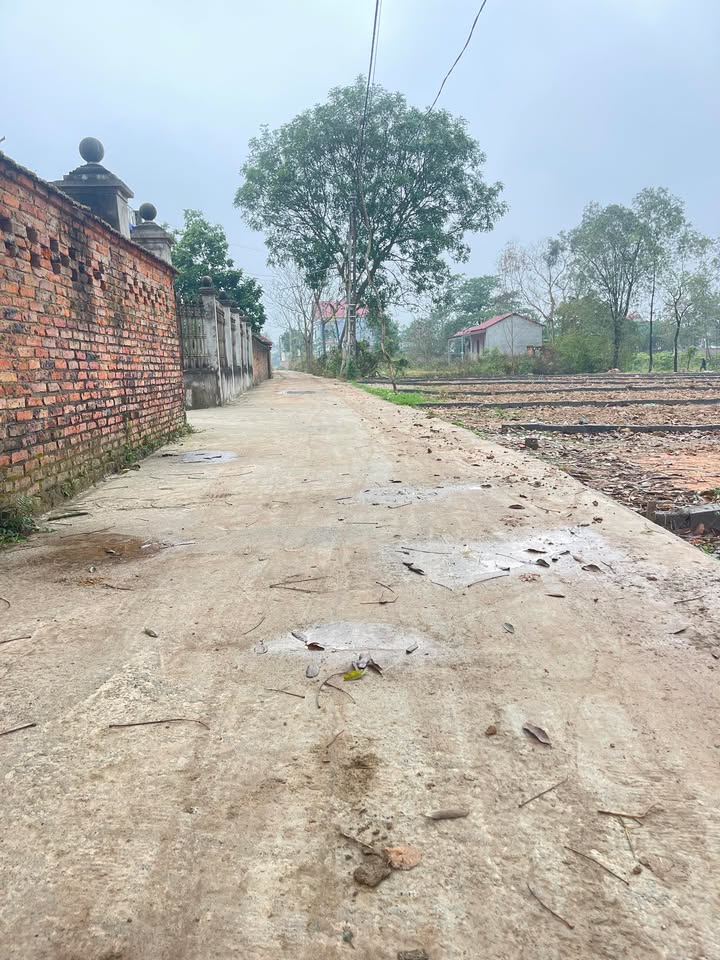 Đất nền 192m² Đông Nứa, Bắc Ninh - Giá đầu tư F0 chỉ 7xx triệu