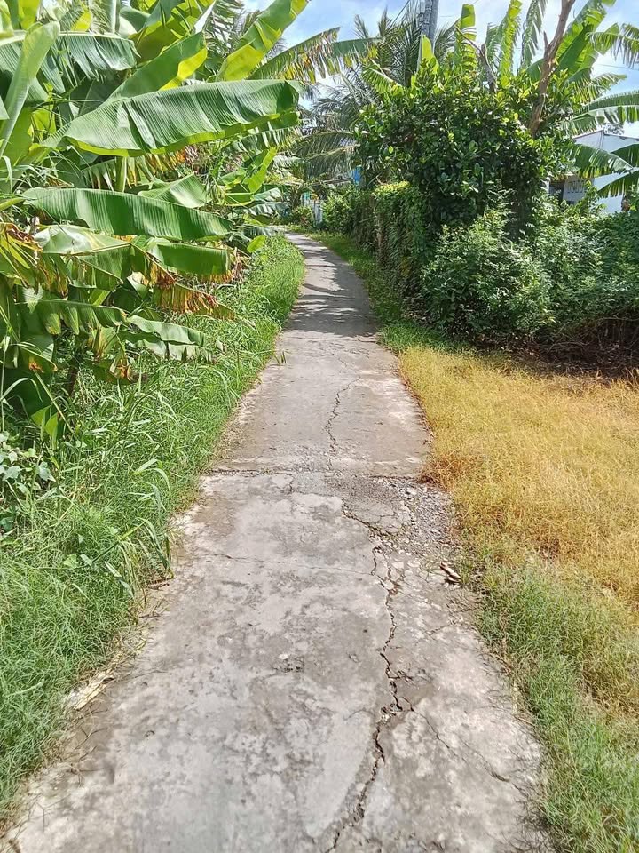 Bán Đất Vườn 5000m² Mặt Tiền Kênh 48m, Xẻo Lá, Bạc Liêu - Giá Đầu Tư 5 Tỷ