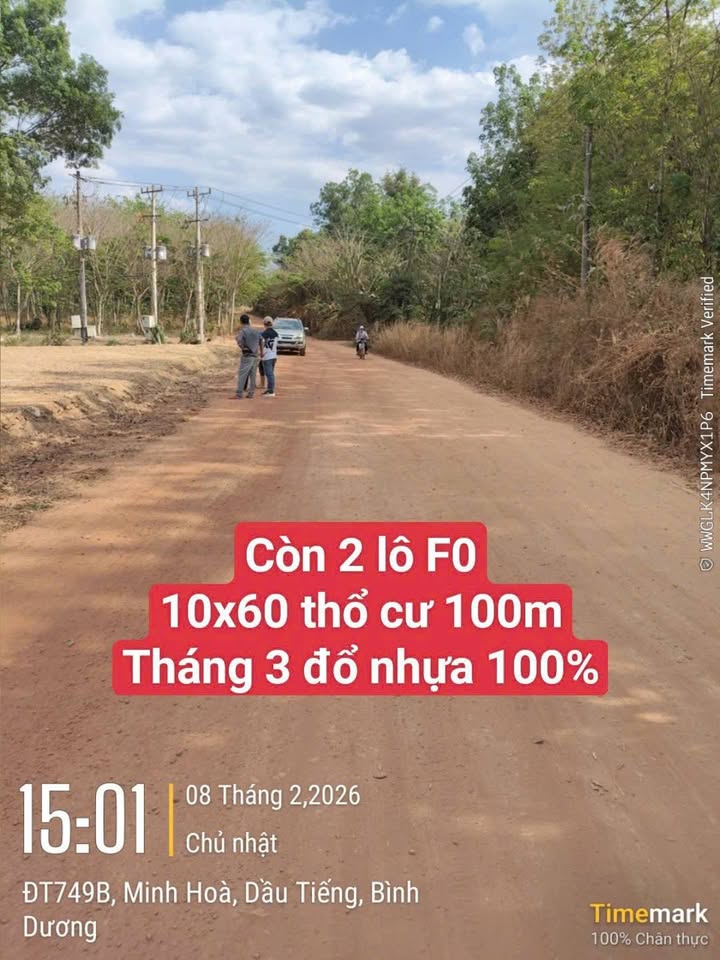 Đất Thổ Cư 600m² Dầu Tiếng - Sẵn Sàng Xây Dựng, Giá Chỉ 5xx Triệu