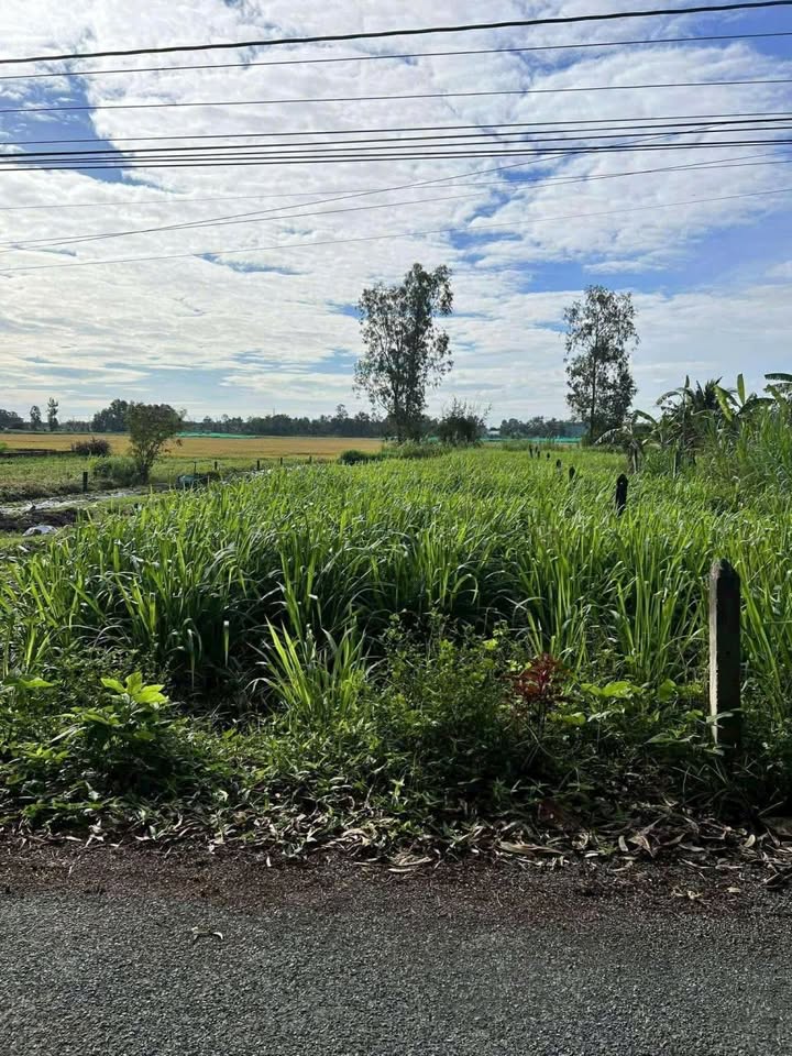 Đất Sóc Trăng 550m² Mặt tiền Trương Vĩnh Ký - Giá 650 Triệu