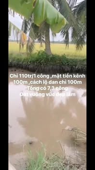 Đất ruộng Trường Khánh 7000m² giá 770 triệu - Đầu tư dài hạn